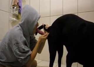 Doberman and a super-steamy girl are both enjoying bestiality