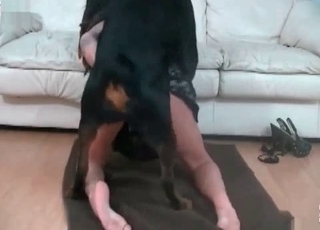 Awesome black dog fucked her wet cunt