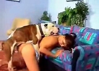 Tight violate hardly penetrated by the doggy