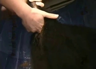 Zoophile vibrates tight anus of a rear end