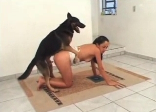 Amazing bestial activity for a girl and a doggy style