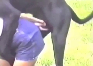 Beauty and her Doberman are enjoying zoophilia mutt shag