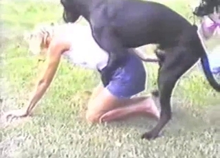 Beauty and her Doberman are enjoying zoophilia mutt shag
