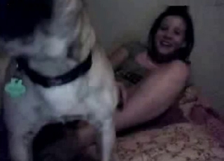 Thick-ass zoophile and a horny dog
