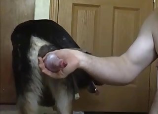 Dude worships this dog's pipe