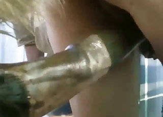 Sweet horse drilled her twat on camera