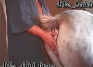 Farm BBW is playing with a huge pony