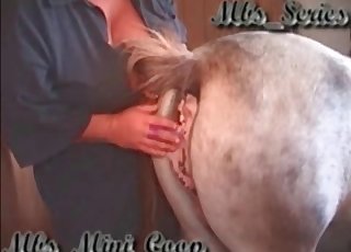 Farm BBW is playing with a huge pony
