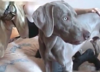 Hot man-meat of a mutt and lustful blonde