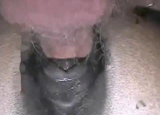 Doggy taut fuck hole nicely impaled by an insatiable man