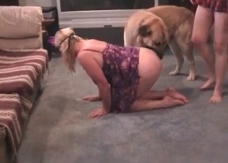 Vagina sucked by a lustful doggy