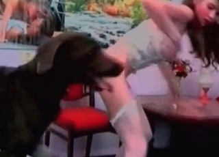 Tight vagina punctured stiff by a Doberman
