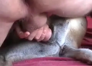Fantastic anal hump with my dog