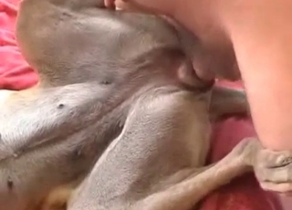 Fantastic anal hump with my dog