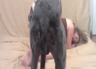Sweet lady screwed by a doggy