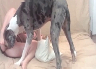 Sweet lady screwed by a doggy
