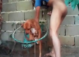 Smallish doggy in the super-fucking-hot animality