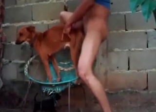 Smallish doggy in the super-fucking-hot animality
