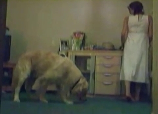 This whore wears white clothes and goes for a mutt cock