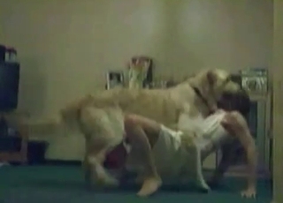 This whore wears white clothes and goes for a mutt cock