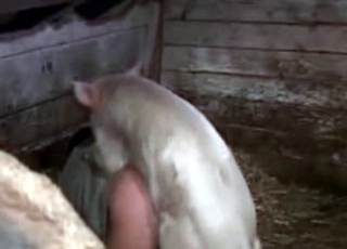 White dog wants to have some intense bestiality sex