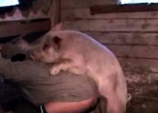 White dog wants to have some intense bestiality sex
