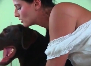 Handsome doggo is providing some oral pleasure to a woman