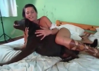 Handsome doggo is providing some oral pleasure to a woman