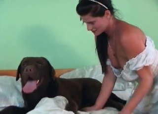 Handsome doggo is providing some oral pleasure to a woman