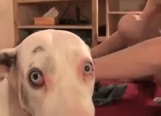 Affected mutt gets penetrated so freaking sexy