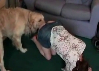 My playful dog enjoys my
