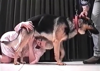 Short-haired zoophile blows a dog