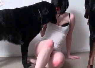 Dog gives this hooded slut a popshot