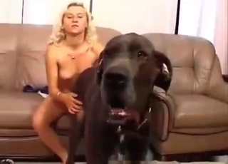 Large hound is really happy to see his adorable possessor