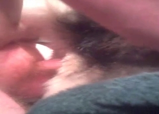 First-timer anal sex with a dog