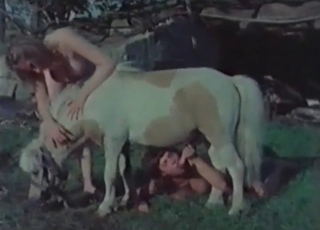 Dog’s penis is getting deepthroated by two amateurs