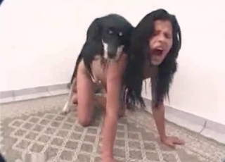 Babe is getting screwed by a dog