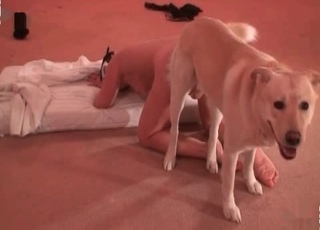Accurate wet twat drilled by a doggy