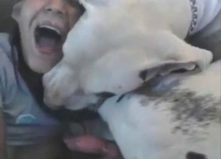 Brunette deepthroats dog cock