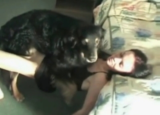 This horny doggo is totally dominating a black-haired