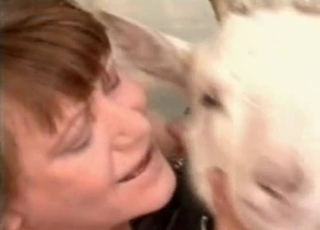 Big white doggy hardly drilled by fat cock