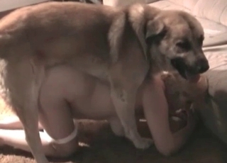 Lovely hardcore sex with a mutt