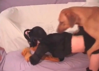 Tight cunt humped by a dog