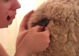 Munching tight anal fuckhole of my outstanding dog