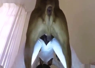 Perfect black bangs with a very big dog