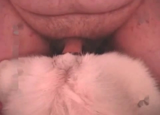 Crazy amateur zoophilia with a cutest northern rear end