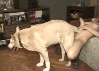 Dog penetrating trimmed pussy here