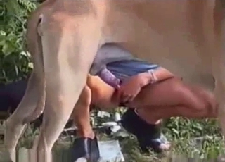 Amazing immense dog and totally naked zoophile