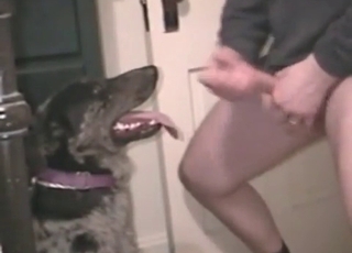 Dude and his obedient dog here