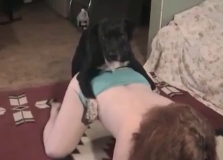 Black dog fucking that cock-squeezing gash